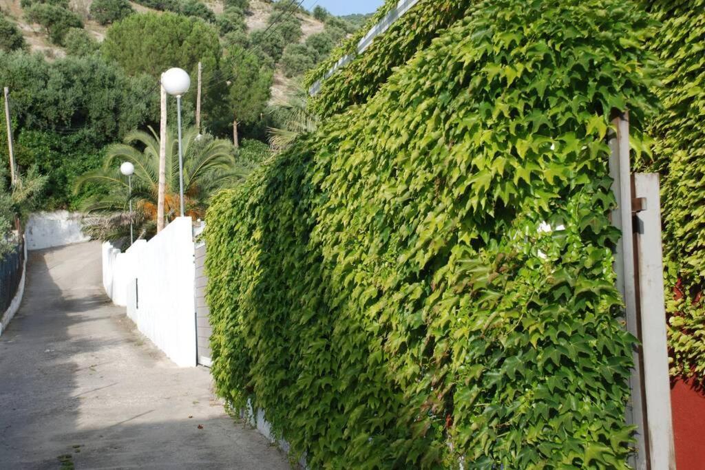 Casa De Campo Perfectamente Equipada Villa Jaen Exterior photo